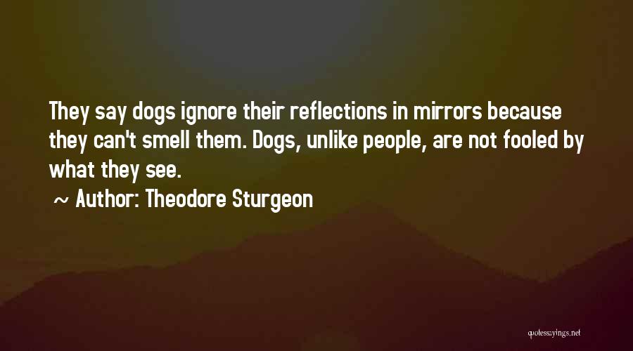 Theodore Sturgeon Quotes: They Say Dogs Ignore Their Reflections In Mirrors Because They Can't Smell Them. Dogs, Unlike People, Are Not Fooled By