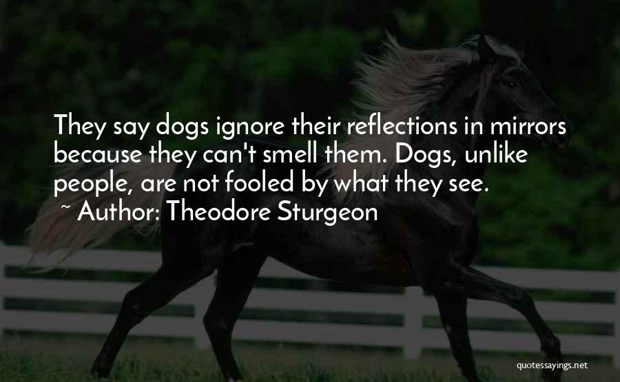 Theodore Sturgeon Quotes: They Say Dogs Ignore Their Reflections In Mirrors Because They Can't Smell Them. Dogs, Unlike People, Are Not Fooled By