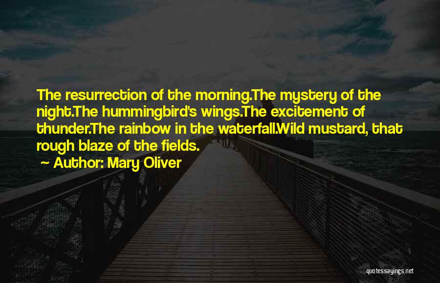 Mary Oliver Quotes: The Resurrection Of The Morning.the Mystery Of The Night.the Hummingbird's Wings.the Excitement Of Thunder.the Rainbow In The Waterfall.wild Mustard, That