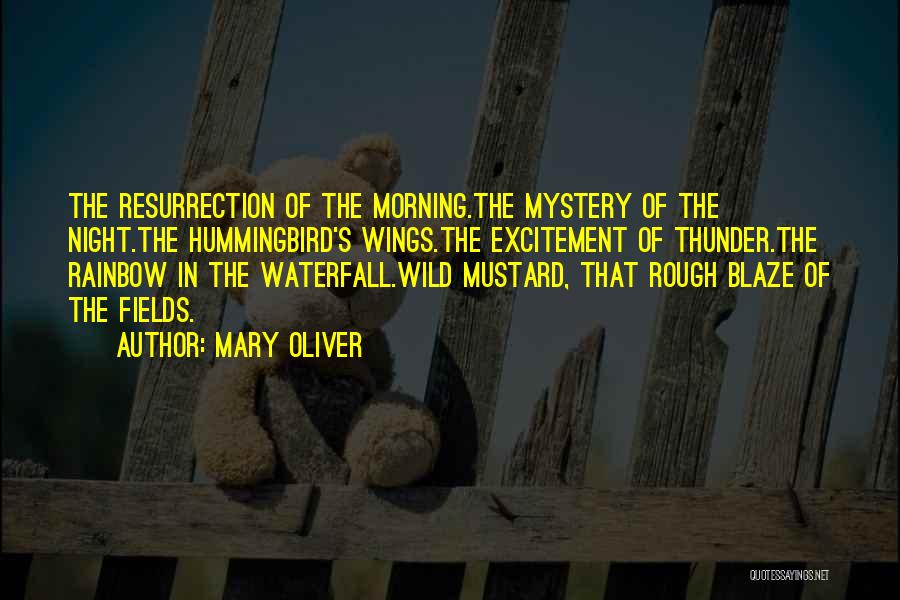 Mary Oliver Quotes: The Resurrection Of The Morning.the Mystery Of The Night.the Hummingbird's Wings.the Excitement Of Thunder.the Rainbow In The Waterfall.wild Mustard, That