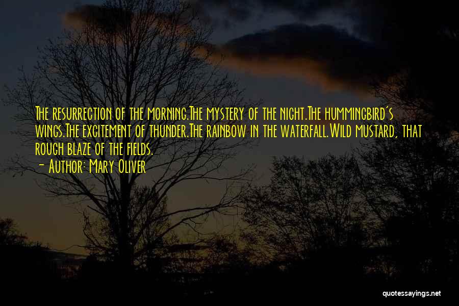 Mary Oliver Quotes: The Resurrection Of The Morning.the Mystery Of The Night.the Hummingbird's Wings.the Excitement Of Thunder.the Rainbow In The Waterfall.wild Mustard, That