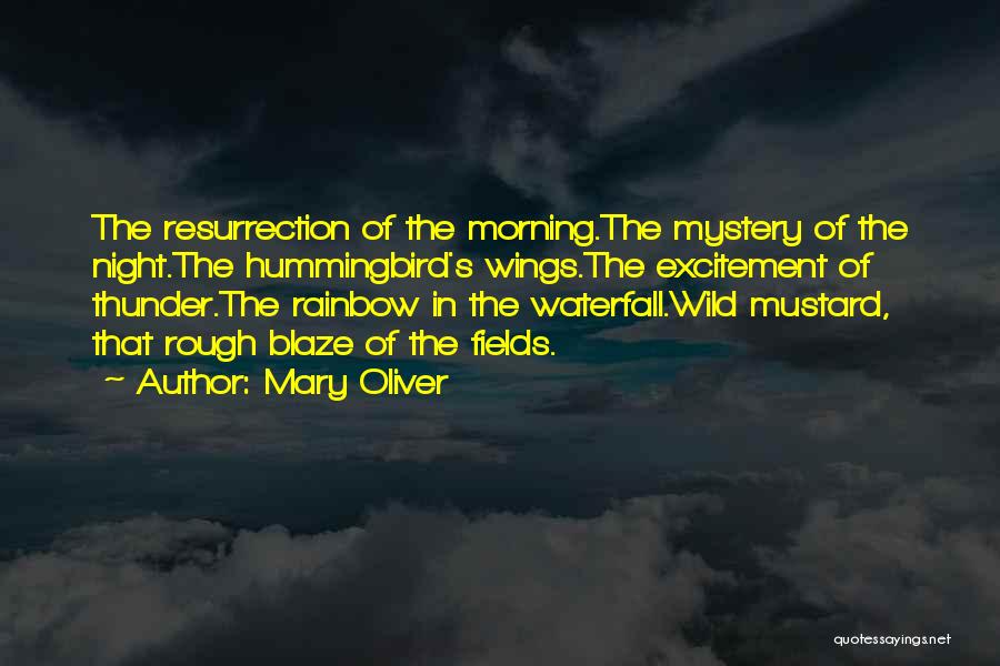 Mary Oliver Quotes: The Resurrection Of The Morning.the Mystery Of The Night.the Hummingbird's Wings.the Excitement Of Thunder.the Rainbow In The Waterfall.wild Mustard, That