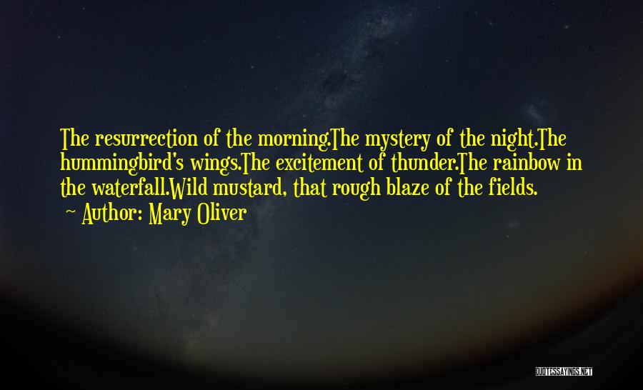 Mary Oliver Quotes: The Resurrection Of The Morning.the Mystery Of The Night.the Hummingbird's Wings.the Excitement Of Thunder.the Rainbow In The Waterfall.wild Mustard, That