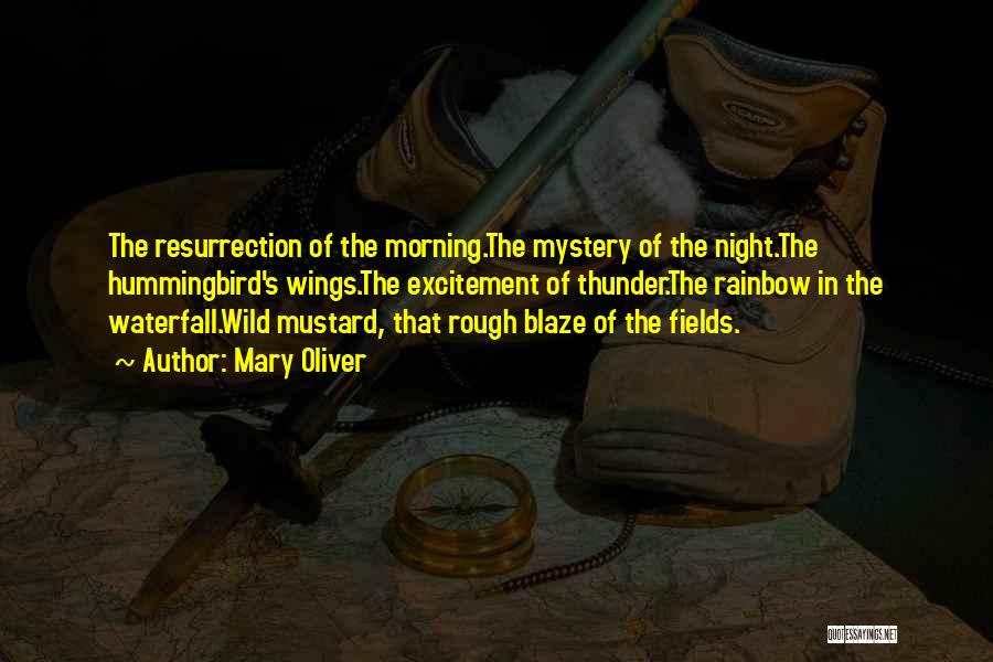 Mary Oliver Quotes: The Resurrection Of The Morning.the Mystery Of The Night.the Hummingbird's Wings.the Excitement Of Thunder.the Rainbow In The Waterfall.wild Mustard, That