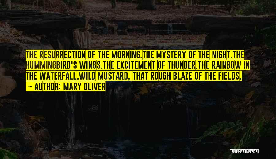 Mary Oliver Quotes: The Resurrection Of The Morning.the Mystery Of The Night.the Hummingbird's Wings.the Excitement Of Thunder.the Rainbow In The Waterfall.wild Mustard, That