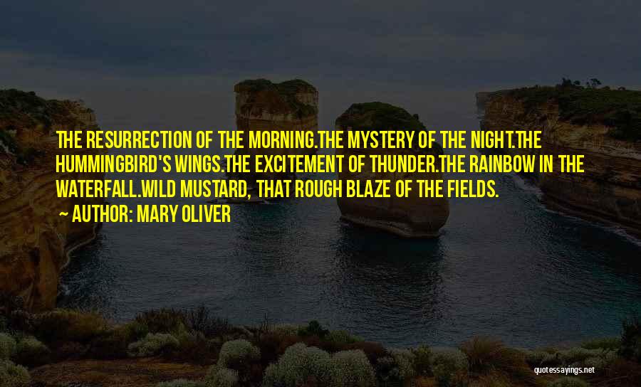 Mary Oliver Quotes: The Resurrection Of The Morning.the Mystery Of The Night.the Hummingbird's Wings.the Excitement Of Thunder.the Rainbow In The Waterfall.wild Mustard, That