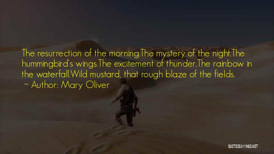 Mary Oliver Quotes: The Resurrection Of The Morning.the Mystery Of The Night.the Hummingbird's Wings.the Excitement Of Thunder.the Rainbow In The Waterfall.wild Mustard, That