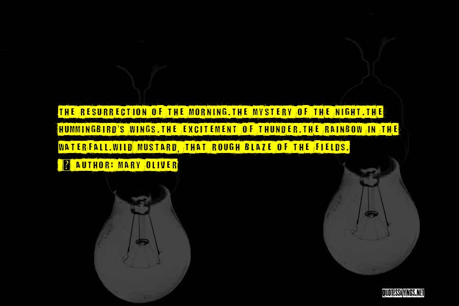 Mary Oliver Quotes: The Resurrection Of The Morning.the Mystery Of The Night.the Hummingbird's Wings.the Excitement Of Thunder.the Rainbow In The Waterfall.wild Mustard, That