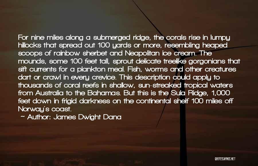 James Dwight Dana Quotes: For Nine Miles Along A Submerged Ridge, The Corals Rise In Lumpy Hillocks That Spread Out 100 Yards Or More,