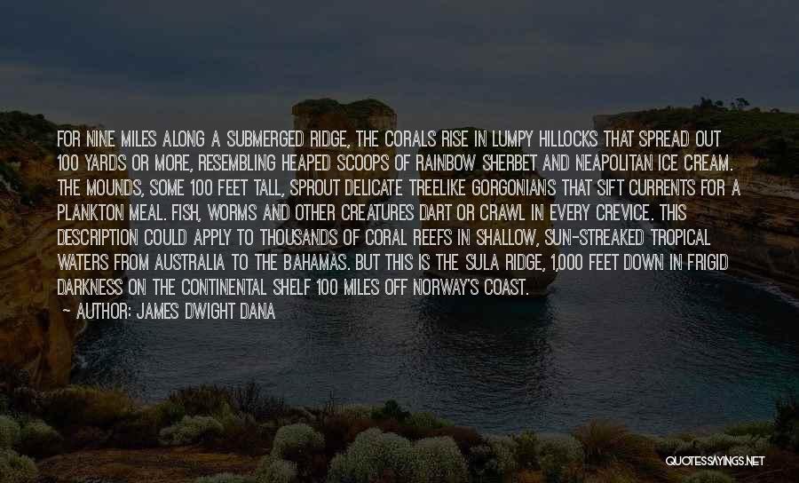 James Dwight Dana Quotes: For Nine Miles Along A Submerged Ridge, The Corals Rise In Lumpy Hillocks That Spread Out 100 Yards Or More,