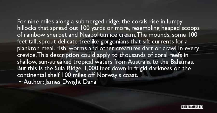 James Dwight Dana Quotes: For Nine Miles Along A Submerged Ridge, The Corals Rise In Lumpy Hillocks That Spread Out 100 Yards Or More,