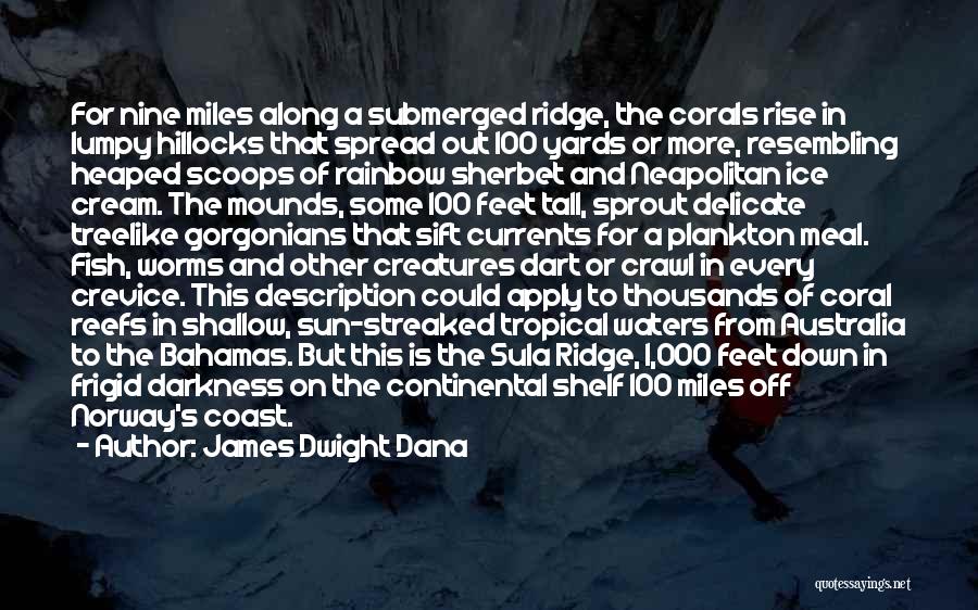 James Dwight Dana Quotes: For Nine Miles Along A Submerged Ridge, The Corals Rise In Lumpy Hillocks That Spread Out 100 Yards Or More,