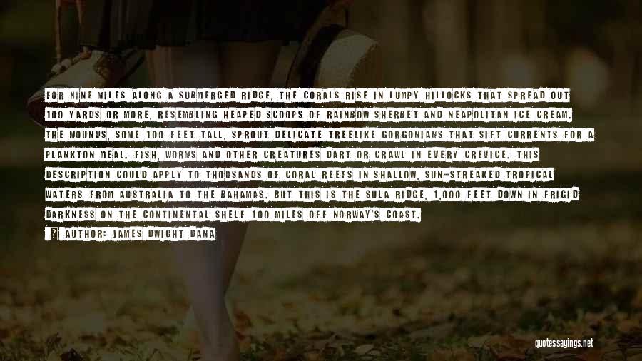 James Dwight Dana Quotes: For Nine Miles Along A Submerged Ridge, The Corals Rise In Lumpy Hillocks That Spread Out 100 Yards Or More,