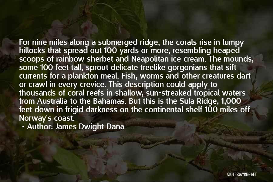 James Dwight Dana Quotes: For Nine Miles Along A Submerged Ridge, The Corals Rise In Lumpy Hillocks That Spread Out 100 Yards Or More,