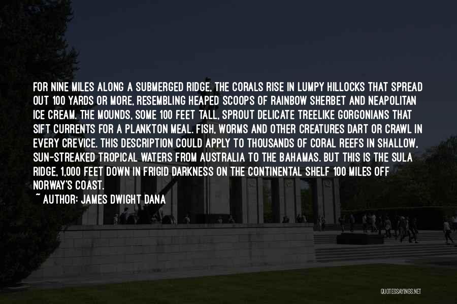 James Dwight Dana Quotes: For Nine Miles Along A Submerged Ridge, The Corals Rise In Lumpy Hillocks That Spread Out 100 Yards Or More,