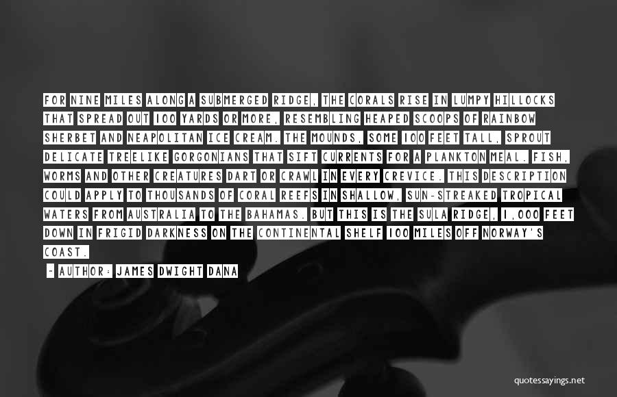 James Dwight Dana Quotes: For Nine Miles Along A Submerged Ridge, The Corals Rise In Lumpy Hillocks That Spread Out 100 Yards Or More,