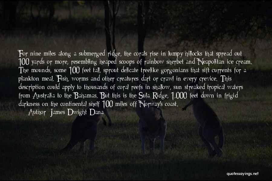 James Dwight Dana Quotes: For Nine Miles Along A Submerged Ridge, The Corals Rise In Lumpy Hillocks That Spread Out 100 Yards Or More,