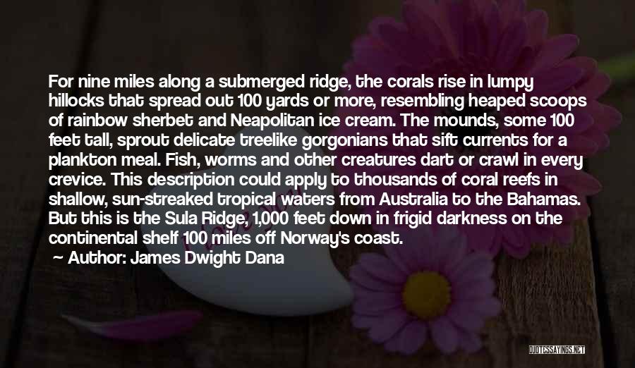 James Dwight Dana Quotes: For Nine Miles Along A Submerged Ridge, The Corals Rise In Lumpy Hillocks That Spread Out 100 Yards Or More,