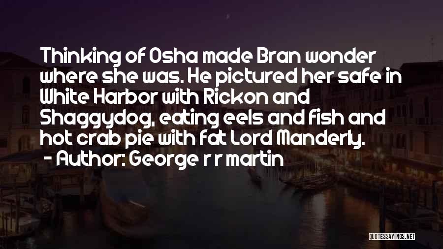 George R R Martin Quotes: Thinking Of Osha Made Bran Wonder Where She Was. He Pictured Her Safe In White Harbor With Rickon And Shaggydog,