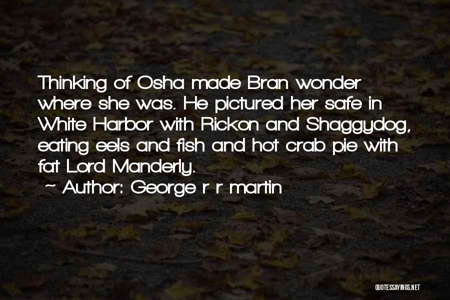 George R R Martin Quotes: Thinking Of Osha Made Bran Wonder Where She Was. He Pictured Her Safe In White Harbor With Rickon And Shaggydog,