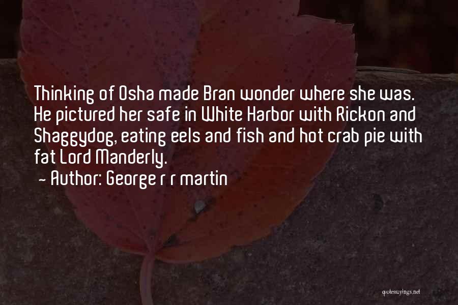 George R R Martin Quotes: Thinking Of Osha Made Bran Wonder Where She Was. He Pictured Her Safe In White Harbor With Rickon And Shaggydog,