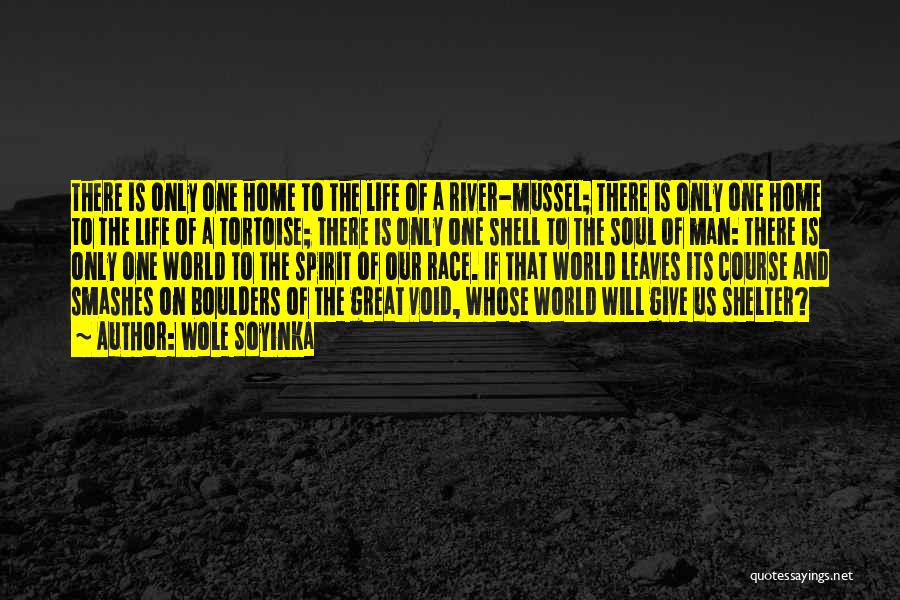Wole Soyinka Quotes: There Is Only One Home To The Life Of A River-mussel; There Is Only One Home To The Life Of