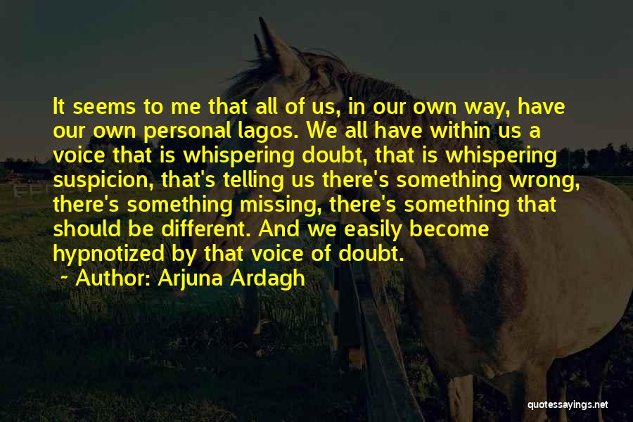 Arjuna Ardagh Quotes: It Seems To Me That All Of Us, In Our Own Way, Have Our Own Personal Lagos. We All Have