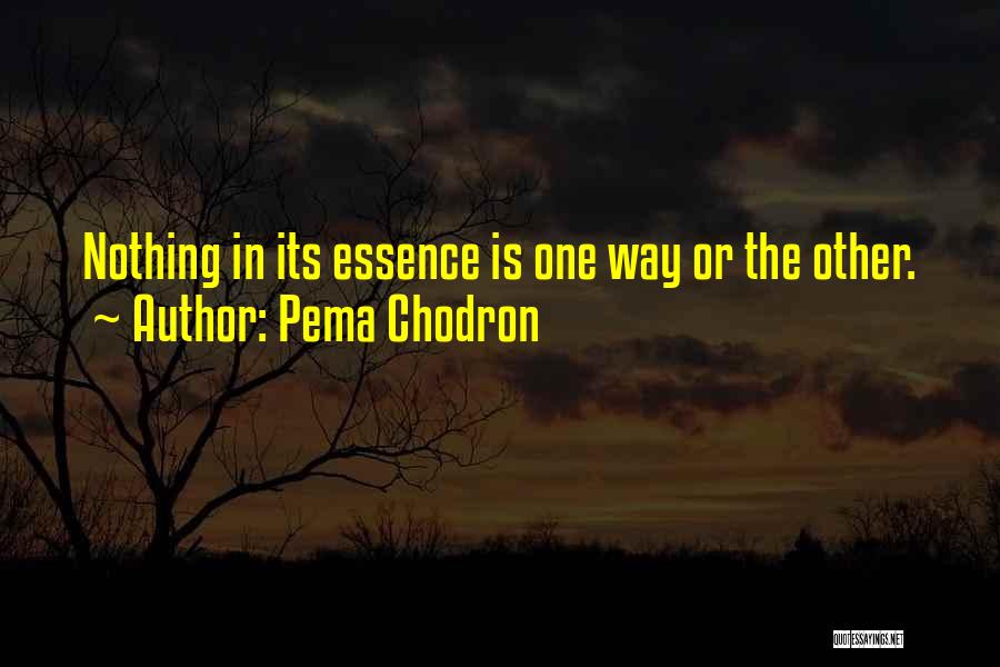 Pema Chodron Quotes: Nothing In Its Essence Is One Way Or The Other.