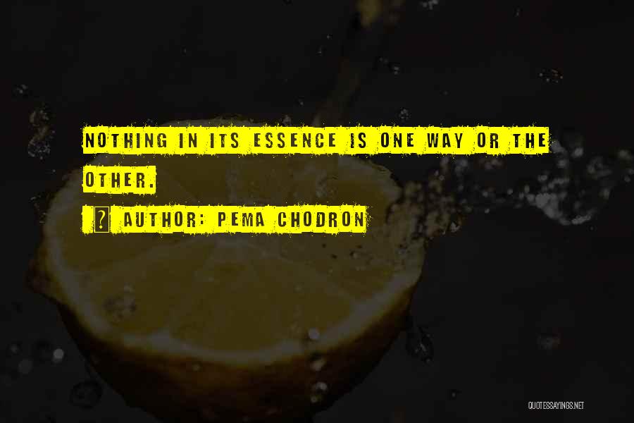 Pema Chodron Quotes: Nothing In Its Essence Is One Way Or The Other.