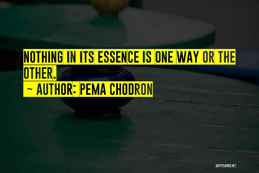 Pema Chodron Quotes: Nothing In Its Essence Is One Way Or The Other.