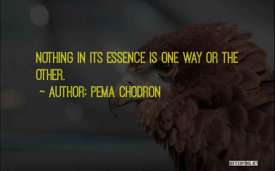Pema Chodron Quotes: Nothing In Its Essence Is One Way Or The Other.