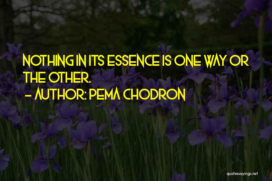 Pema Chodron Quotes: Nothing In Its Essence Is One Way Or The Other.