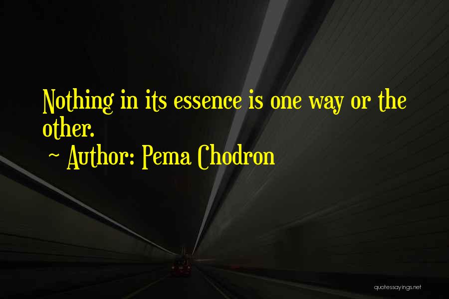 Pema Chodron Quotes: Nothing In Its Essence Is One Way Or The Other.