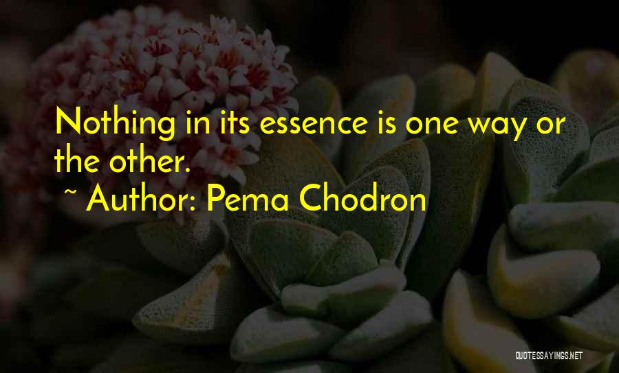 Pema Chodron Quotes: Nothing In Its Essence Is One Way Or The Other.