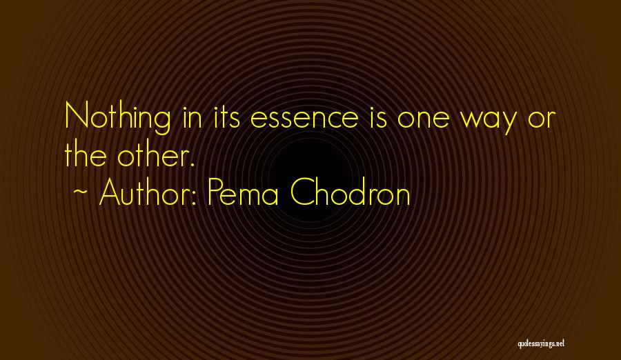 Pema Chodron Quotes: Nothing In Its Essence Is One Way Or The Other.