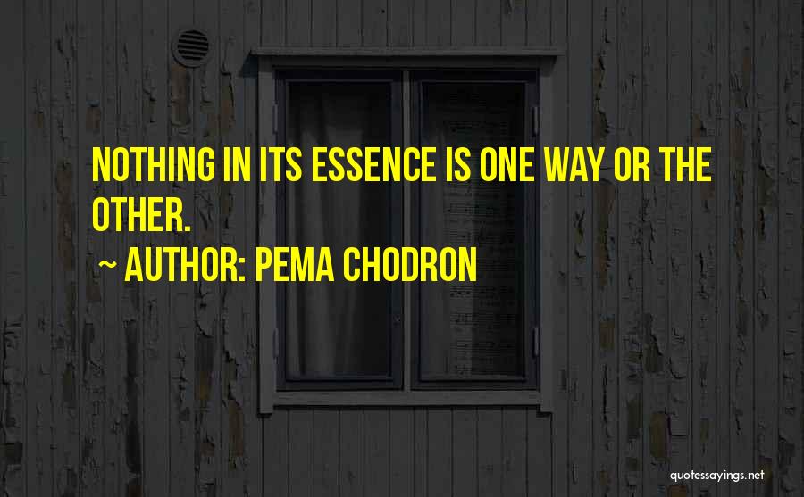 Pema Chodron Quotes: Nothing In Its Essence Is One Way Or The Other.