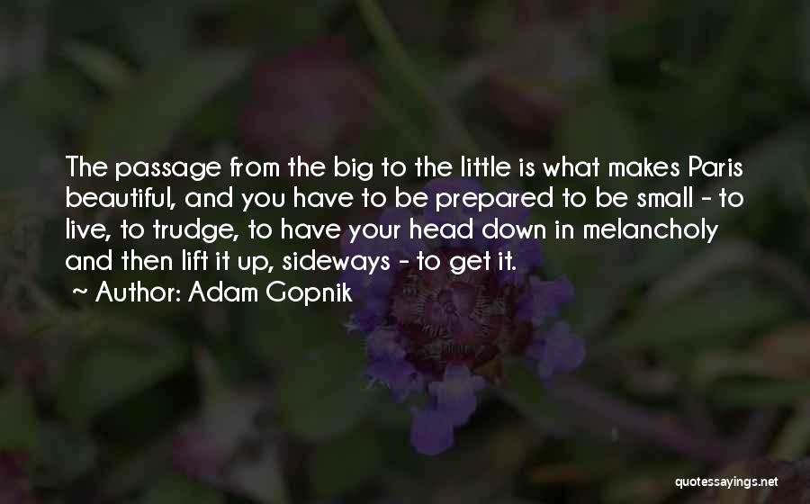 Adam Gopnik Quotes: The Passage From The Big To The Little Is What Makes Paris Beautiful, And You Have To Be Prepared To