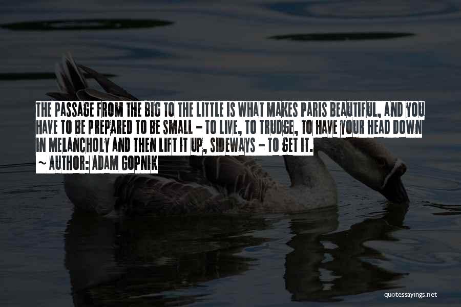 Adam Gopnik Quotes: The Passage From The Big To The Little Is What Makes Paris Beautiful, And You Have To Be Prepared To