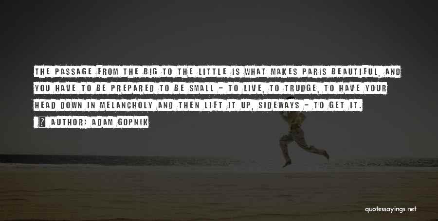 Adam Gopnik Quotes: The Passage From The Big To The Little Is What Makes Paris Beautiful, And You Have To Be Prepared To