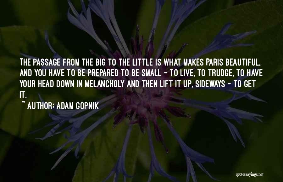 Adam Gopnik Quotes: The Passage From The Big To The Little Is What Makes Paris Beautiful, And You Have To Be Prepared To