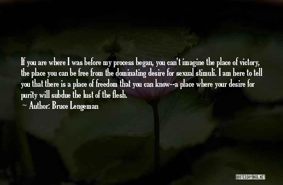 Bruce Lengeman Quotes: If You Are Where I Was Before My Process Began, You Can't Imagine The Place Of Victory, The Place You
