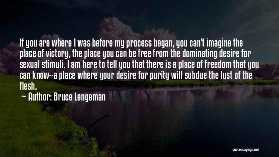 Bruce Lengeman Quotes: If You Are Where I Was Before My Process Began, You Can't Imagine The Place Of Victory, The Place You