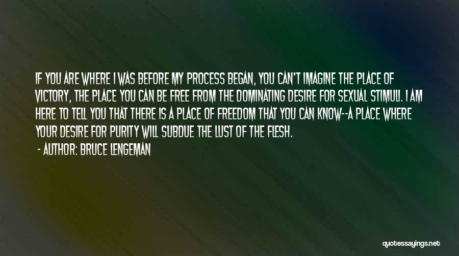 Bruce Lengeman Quotes: If You Are Where I Was Before My Process Began, You Can't Imagine The Place Of Victory, The Place You