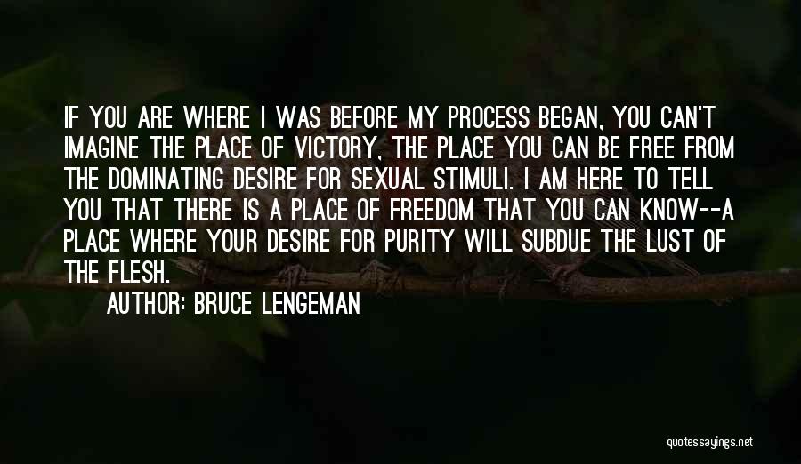 Bruce Lengeman Quotes: If You Are Where I Was Before My Process Began, You Can't Imagine The Place Of Victory, The Place You