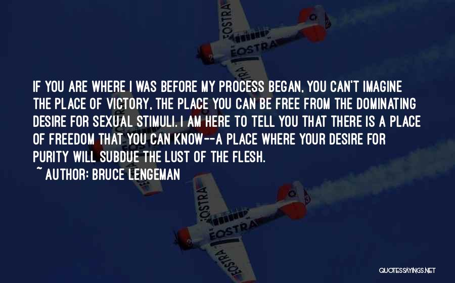 Bruce Lengeman Quotes: If You Are Where I Was Before My Process Began, You Can't Imagine The Place Of Victory, The Place You