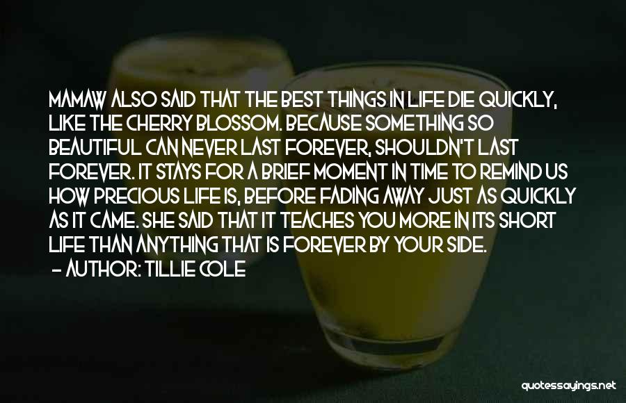 Tillie Cole Quotes: Mamaw Also Said That The Best Things In Life Die Quickly, Like The Cherry Blossom. Because Something So Beautiful Can