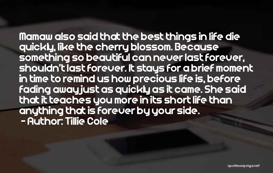 Tillie Cole Quotes: Mamaw Also Said That The Best Things In Life Die Quickly, Like The Cherry Blossom. Because Something So Beautiful Can