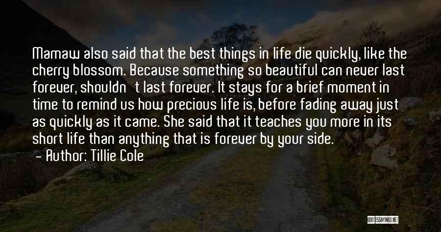 Tillie Cole Quotes: Mamaw Also Said That The Best Things In Life Die Quickly, Like The Cherry Blossom. Because Something So Beautiful Can