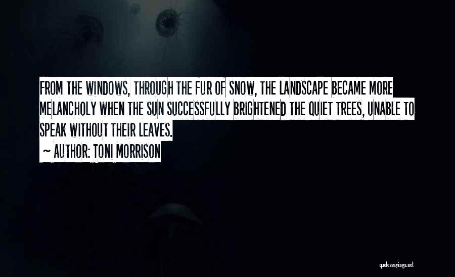 Toni Morrison Quotes: From The Windows, Through The Fur Of Snow, The Landscape Became More Melancholy When The Sun Successfully Brightened The Quiet