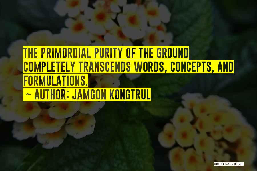 Jamgon Kongtrul Quotes: The Primordial Purity Of The Ground Completely Transcends Words, Concepts, And Formulations.